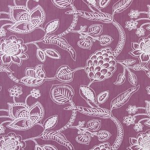 Phoenix Mulberry